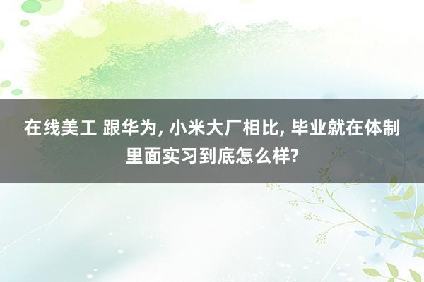 在线美工 跟华为, 小米大厂相比, 毕业就在体制里面实习到底怎么样?